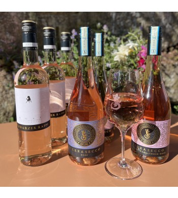 6er Frühlingspkaket "Rosé- Wein und Secco" 