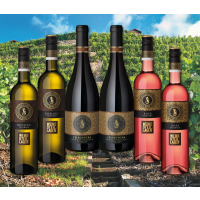 6er Paket "Höher, schneller, w