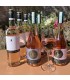 6er Frühlingspkaket "Rosé- Wein und Secco" 